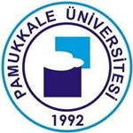 جامعة باموكالي