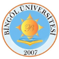 جامعة بينغول